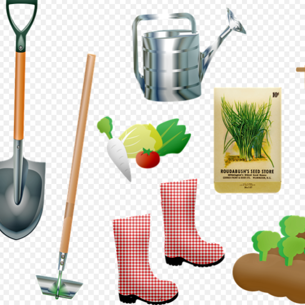 Les outils essentiels à choisir pour bien jardiner