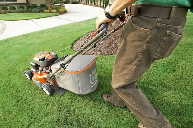 Comment bien aménager son jardin ?